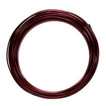 položky Hliníkový drát 2mm 100g Bordeaux