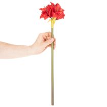 položky Umělý červený květ amarylis se stonkem, květinová dekorace na Vánoce, 50 cm