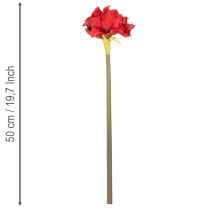 položky Umělý červený květ amarylis se stonkem, květinová dekorace na Vánoce, 50 cm