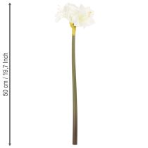 položky Umělý květ amarylis, bílý, se stonkem, adventní a vánoční, 50 cm