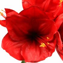 položky Amaryllis červená 75 cm