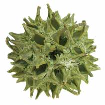 Sweetgum šišky zelené matné 250g