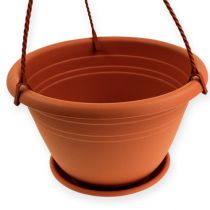 položky Závěsný koš Galicia Ø30cm terakota