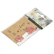 položky Vánoční přívěsek na výrobu soba 5,5x8,5cm 4ks