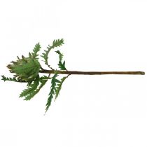 položky Artyčok zelený deco podzimní Ø7,5cm V43cm