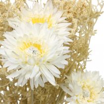 položky Umělá kytice aster a baby breath v béžové a bílé barvě, ideální pro svatební dekorace a podzimní aranžmá, 43 cm