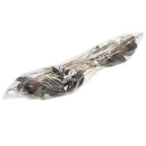 položky Badam na špejli přírodní 6cm - 12cm 23 ks