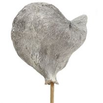 položky Badam na špejli bílené 12cm L55cm 23 ks
