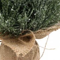 Mini vánoční stromek uměle zasněžovaný v pytli V41cm