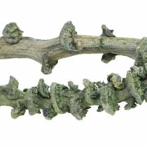 položky Banana Stem Dekoast Green, white wash 20 ks
