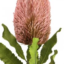 Umělá květina Banksia růžová podzimní dekorace památeční floristika 64cm