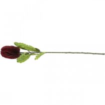 položky Umělá květina Banksia Červená Vínová umělá Exotika 64cm