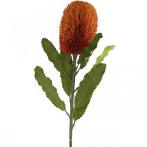 položky Umělá květina Banksia Orange podzimní dekorace pohřební květiny 64cm