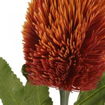 Umělá květina Banksia Orange podzimní dekorace pohřební květiny 64cm
