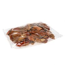 položky Houba stromová oranžová 1kg