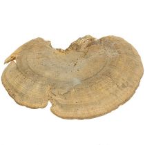 Houba na strom přírodní 1kg