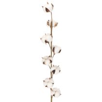 položky Umělá bavlněná větev s 8 pravými květy, 78 cm