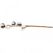 položky Bavlněná dekorace větvička Dekorační větvička z pravé bavlny 5 hlav 50cm