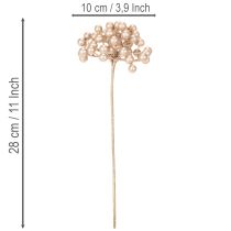 položky Umělá větvička z bobulí, dekorace šampaňské barvy, 28 cm, 3 kusy