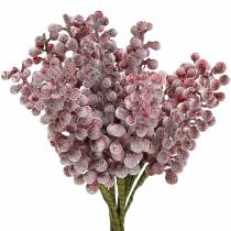 Berry pick červený, ledový 21cm 12p