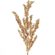 položky Berry větev se zlatými bobulemi Vánoční větev 70 cm