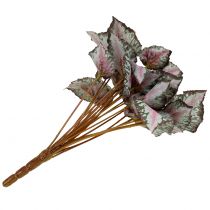 položky Keř umělá begónie zelená, fialová 34cm