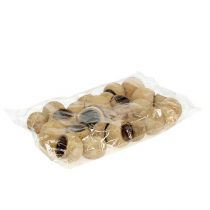 položky Bell Cup malý přírodní 25 ks