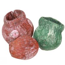 položky Bellgum zvonek plod zelená bobule ojíněný 2,5-3,5cm 500g