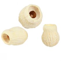 položky Bellgum sušený zvonek bělený 2,5-3,5cm 500g