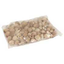 položky Bellgum bell fruit tobolka ovoce přírodní dekorace hnědá 500g