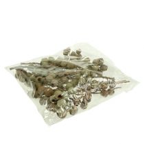 položky Odbočka Bellgum 4 - 14 hlav 20 ks