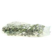 položky Větev zvonku 5cm - 7cm zelená matná 20 ks