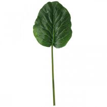 položky Umělá zelená rostlina Bergenia zelená umělá rostlina 53cm