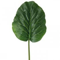 Umělá zelená rostlina Bergenia zelená umělá rostlina 53cm