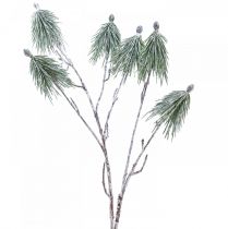 Zimní dekorace větev borovice horské uměle zasněžovaná L70cm