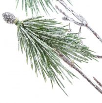 položky Zimní dekorace větev borovice horské uměle zasněžovaná L70cm