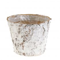 položky Květináč s bělenou březovou kůrou květináč Ø15cm H12,5cm 3 ks