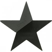 položky OASIS® Black Bioline® Floral Foam Star Black H30cm 2 ks