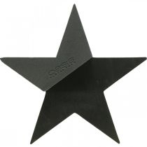 OASIS® Black Bioline® Floral Foam Star Black H30cm 2ks