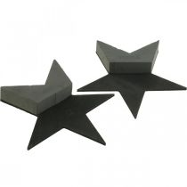 položky OASIS® Black Bioline® Floral Foam Star Black H30cm 2 ks
