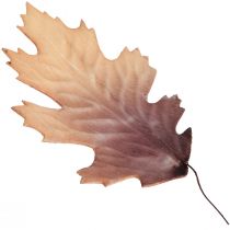 Červený dub list podzimní listí deko listy deco 13×19cm 12ks