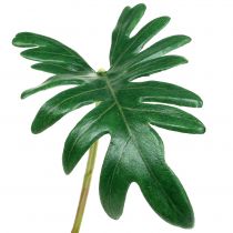 položky List filodendron 31cm zelený 12 ks