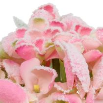 Hortenzie růžová zasněžená 33cm 4ks