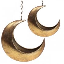 Závěsný koš moon deco gold vintage deco 32/22cm sada 2 ks