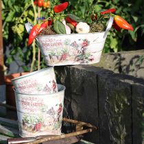 položky Květináč malý kovový barevný Fresh Garden H16cm 2ks