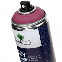 OASIS® Easy Color Spray, barva ve spreji růžová 400 ml