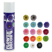 Flower Decor květinový sprej různé barvy 400ml