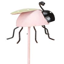 položky Květinová tyčinka Beruška kovová zelená růžová 7x4cm 6 ks