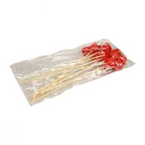 položky Květinová zátka Vánoční balení dekorace červená 2,5cm 15 ks