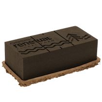 položky Květinová pěna 1/1 kostka OASIS® Renewal® Květinová pěna Biolit® 24 cm 2 ks